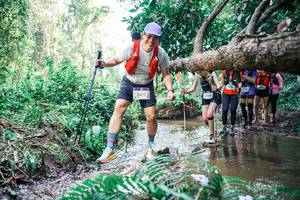 BIB: 
                            <button type="button" onclick="openModal(25476472)" class="btn btn-primary btn-sm float-right btn-popup" data-toggle="modal" data-target=".modal-high-quality">
                        <i class="fas fa-shopping-cart"></i> Add to Cart
                    </button>
                                            <button type="button" onclick="isThisMe(25476472, true)" class="btn btn-success btn-sm float-right btn-popup btn-isme hidden" data-toggle="tooltip" data-placement="bottom" title="นี่คือรูปของคุณใช่ไหม คลิกที่นี่เพื่อเอาเข้าอัลบั้ม">
                        <i class="fas fa-plus"></i> Add to album
                    </button>
                    <button type="button" onclick="isThisMe(25476472, false)" class="btn btn-warning btn-sm float-right btn-popup btn-isnotme hidden">
                        <i class="fas fa-ban"></i> Remove from album
                    </button>